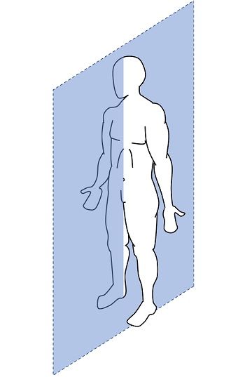 Sagittal Sagittal Plane, Medical Videos, Study Flashcards, Anthropology, Mirror Image, Biology, Body Shapes, Medical