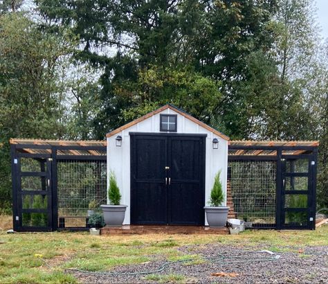 Big Chicken Coop Designs, Green House With Chicken Coop, Spanish Style Chicken Coop, Chicken Coop Farmhouse Style, Garden Shed Chicken Coop Ideas, Chicken Coop Ideas Farmhouse, Small Modern Chicken Coop, L Shaped Chicken Coop, Chicken Coop In Garden Ideas