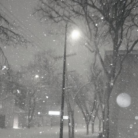 Snowy Night, Winter Fairy, I Love Winter, Winter Love, Gray Aesthetic, Snow Angels, Winter Scenery, Best Seasons, Winter Pictures