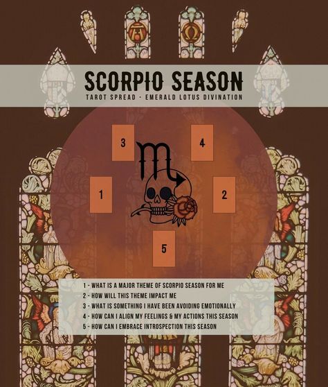 Scorpio Season Is Here, Tarot Reading Spreads, Magic Witch, Tarot Guide, Tarot Card Spreads, Libra Season, Tarot Book, Tarot Tips, Scorpio Season