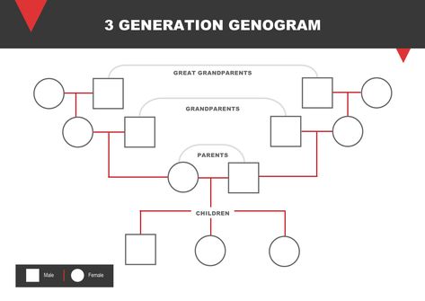 A 3-Generation Family Genogram is a visual chart showing insights into family dynamics and patterns.


Designed by @wordlayouts Genogram Example, Family Genogram, Genogram Template, Vintage Phone Case, Vintage Phone, Family Dynamics, Social Work, Family History, Family Tree