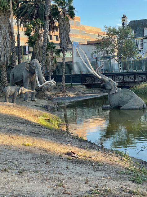 La Brea Tar Pits, La Brea, Los Angeles Travel, The Rock, Angeles, The Incredibles, Outdoor Decor, Travel, Animals