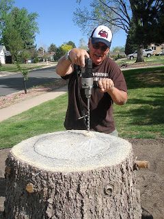 Louise Sanchez / Herbs Crafts Gifts: How we hollowed out a stump How To Hollow Out A Log, Tree Stump Bird Bath, How To Hollow Out A Tree Stump Planters, Tree Stump Ideas Outdoor Front Yard, Stump Bird Bath, Tree Stump Planter Ideas, Tree Stump Ideas Outdoor, Log Planters, Tree Stump Ideas