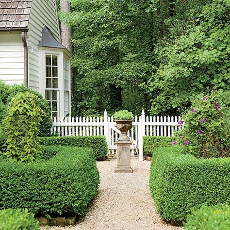 Boxwood Landscaping, Colonial Garden, Boxwood Garden, Garden Pathways, Box Garden, Clematis Vine, Southern Garden, White Picket Fence, Pallet Garden