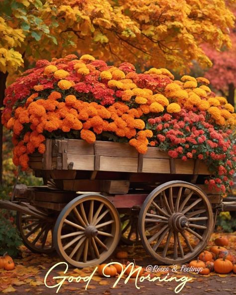 Planter Box Garden, Wagon Planter, Good Morning Dear Friend, Box Garden, Love Wallpaper Download, Thanksgiving Blessings, Morning Memes, Wooden Wagon, Wooden Planter Boxes