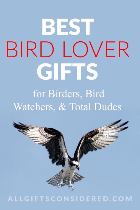 In need of an amazing gift idea for bird watchers? This is the best bird watcher gift guide you’ll find anywhere! Bird Lover Gifts, Bird Watcher Gifts, Bird Watchers, Bird Watcher, Bird Sculpture, Bird Lover, Bird Lovers, Bird Watching, Gifts For Pet Lovers