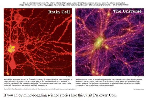 It seems to be all about patterns and not so much about scale.  ;) Quantum Physics, Natural Phenomena, What’s Going On, Tumblr Funny, Tumblr Posts, Mind Blown, Astronomy, Fun Facts, Brain