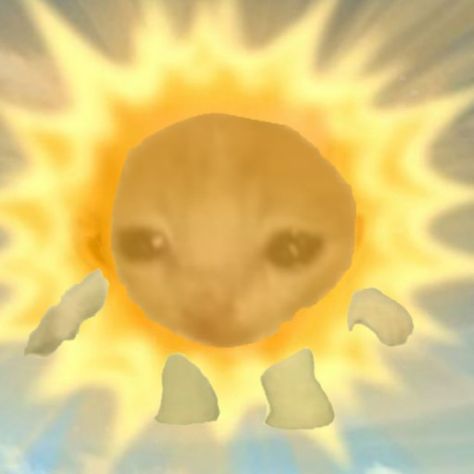 Sun cat sad meme Teletubbies Sun, Rainbow Meme, Cat Crying, Cat Profile, Cat City, Image Cat, Angel Cat, Cat Icon, Yellow Cat