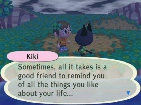 Ac New Leaf, Animal Crossing Memes, Mia 3, Animal Crossing Game, Animal Games, Oui Oui, New Leaf, Pretty Words, It Takes