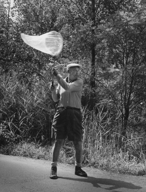 I thought that this picture was very significant. Because, Clegg was only interested in butterflies that he caught himself. It made the collection more personal. Butterfly Catching, Butterfly Catcher, Catching Butterflies, Bored Board, Inside Art, Butterfly Books, Photo Portraits, Art And Literature, Butterfly Images