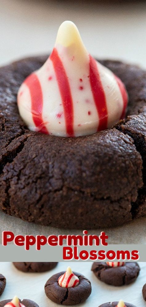 Peppermint Blossoms, Peppermint Kisses, Pinterest Cookies, Chocolate Kiss Cookies, White Chocolate Peppermint, Chocolate Peppermint Cookies, Kiss Cookies, Blossom Cookies, I Love Christmas