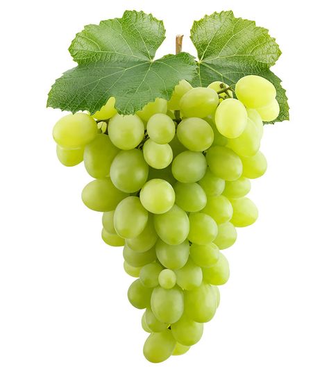 Fruits Name In English, Grapes Benefits, Oil Pulling Benefits, Fruit Names, Fruit Picture, Fruits Images, Fruit Photography, Fruit Painting, Green Grapes