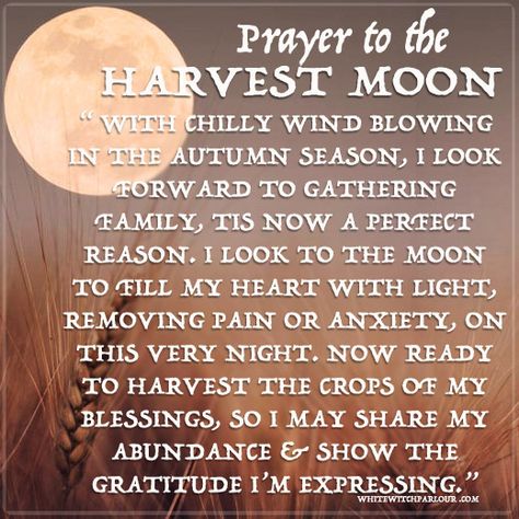 harvest-moon-prayer Moon Spells, Moon Quotes, Warmest Wishes, New Moon Rituals, Full Moon Ritual, Moon Witch, White Witch, Moon Cycles, Wiccan Spells