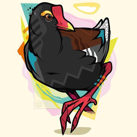 Graphic Artist, Pigeon, Animal Art, Painter, Graffiti, Photo And Video, Instagram Photo, Drawings, Anime