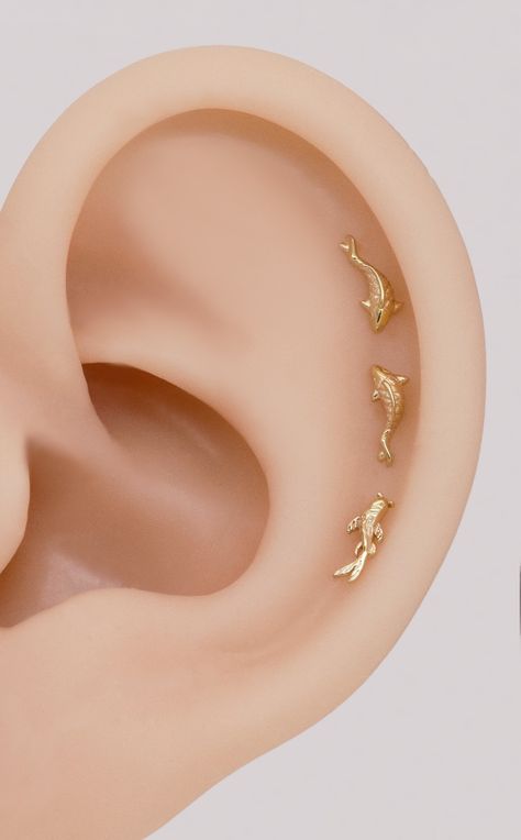 14k Solid Gold Koi Fish Cartilage Earring Tiny Tragus Stud - Etsy Conch Ear Piercings, Helix Conch Piercing, Gold Koi Fish, Gold Koi, Cool Ear Piercings, Pretty Ear Piercings, Tragus Stud, Cute Ear Piercings, Cute Stud Earrings