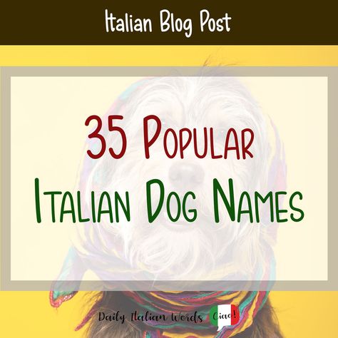 35 Popular Italian Dog Names - Daily Italian Words Italian Dog Names, Italian Girl Names, Italian Dogs, Rich Dog, Boy Dog Names, Female Dog Names, Anthony Smith, Name Game, Italian Boys