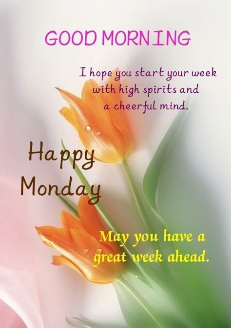 Good Morning Quotes Monday, Monday Good Morning Quotes, Morning Quotes Monday, Monday Morning Wishes, Monday Good Morning, Happy Monday Images, Monday Greetings, Happy Monday Quotes, Happy Monday Morning