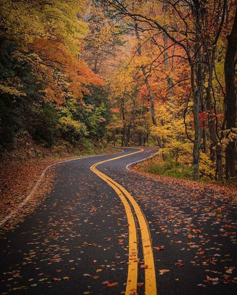 Smokey Mountains Vacation, Great Vacation Spots, Fall Landscape Photography, New England Fall, Autumn Magic, Scenery Background, Mountain Vacations, Autumn Scenes, Sunset Nature