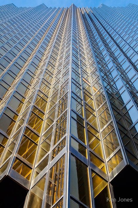 Vertical Photography, Toronto Art, Line Photography, Nature Photography Tips, Office Tower, Line Photo, Principles Of Art, Lifestyle Newborn Photography, Line Art Design