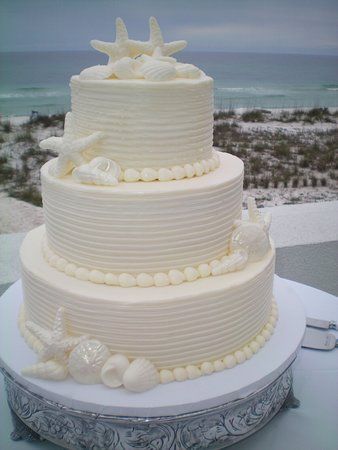 Coastal Wedding Dress, Coastal Wedding Cake, Seashell Wedding Cake, Seashell Cake, Beach Centerpieces, Beach Wedding Groom, Wedding Ceremony Songs, Beach Themed Cakes, Backyard Wedding Dresses