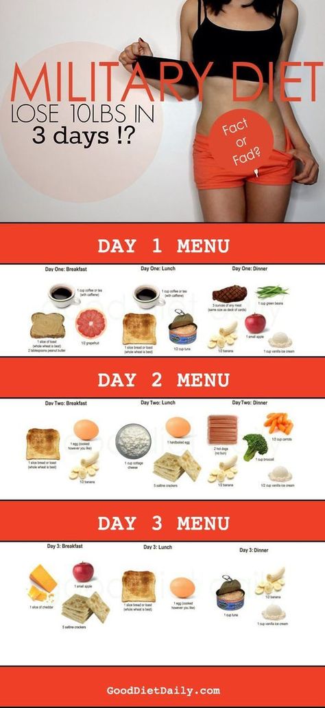 — fitnessforevertips: Get fit & stay fit! Muscle Gain Workout, Weight Gain Diet, Balanced Diet Plan, Fat Loss Diet Plan, Calorie Calculator, Makanan Diet, Diet Vegetarian, Fat Loss Diet, Diet Keto