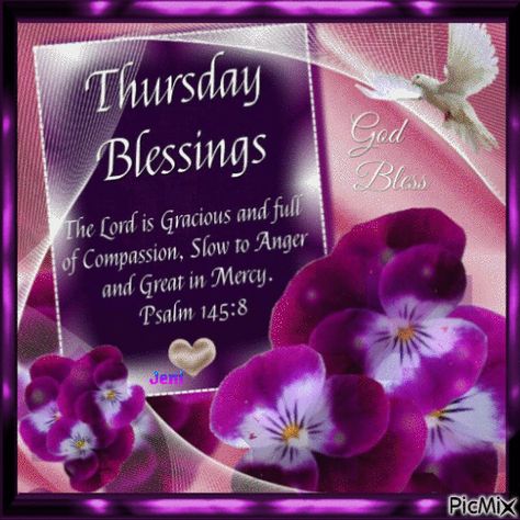 Thursday Blessings Gif, Blessings Gif, Happy Thursday Pictures, Wonderful Day Quotes, Thursday Pictures, Week Blessings, Tuesday Quotes Good Morning, Thursday Blessings, Holy Thursday