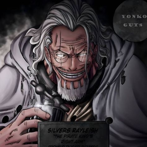 Rayleigh One Piece, Silvers Rayleigh, Film Jurassic World, Silver One Piece, Dark King, One Piece Aesthetic, Texting Story, One Piece Games, Bd Art