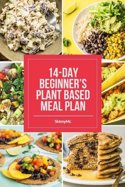 The Ultimate 14-Day Beginner’s Plant-Based Meal Plan with Shopping List Vegan Weight Watchers, Meal Plan With Shopping List, Plant Based Diet Meals, Plant Based Meal, Plant Based Diet Meal Plan, Plant Based Meal Planning, Clean Eating Lifestyle, Plant Based Diet Recipes, Clean Eating Recipes For Dinner