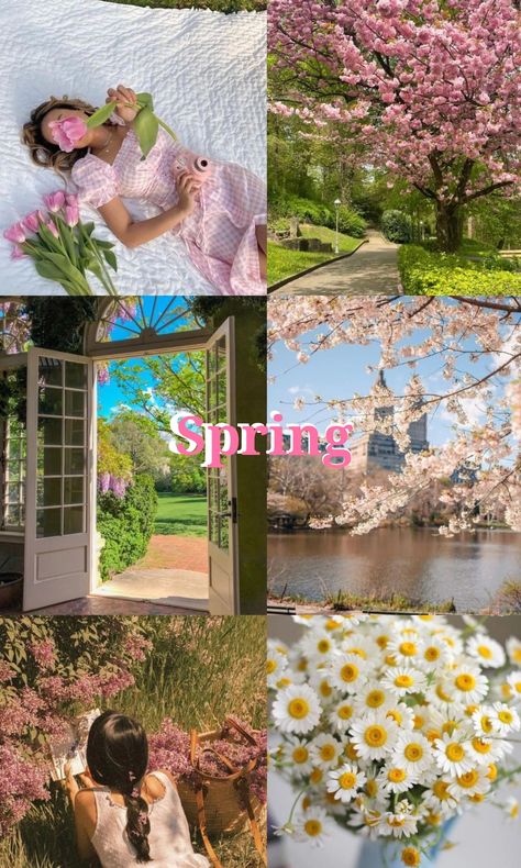 Spring Vibes for you 🌺🌷 Spring Fun Aesthetic, May Spring Aesthetic, Winter To Spring Aesthetic, Spring Season Pictures, Cozy Spring Aesthetic, Cute Spring Aesthetic, Primavera Aesthetic, Vintage Spring Aesthetic, Spring Vibes Aesthetic