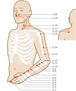 Punkty Spustowe, Meridian Acupuncture, Shiatsu Massage Acupressure, Meridian Points, Acupuncture Benefits, Craniosacral Therapy, Shiatsu Massage, Yoga Facial, Energy Medicine