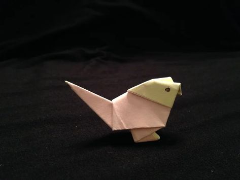 Origami Parrot, Piece Of Paper, Head Color, 12 Steps, New Crafts, Body Colour, Flocking, Parrot, Different Colors