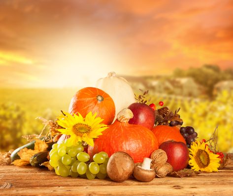 Church Harvest Festival, 10 Healthy Foods, Thanksgiving Background, Light Font, Rosé Png, Happy Birthday Art, Wallpaper Earth, Festival Background, Fruit Wallpaper