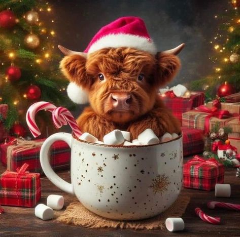 Candy For Christmas, Highland Cow Painting, Cow Wallpaper, Scottish Cow, Highland Cow Art, Mini Cows, Fluffy Cows, Cow Pictures