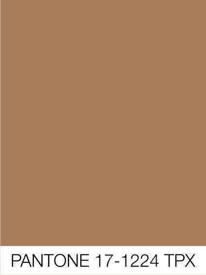 Camel Color Palette, Deep Autumn Palette, Colour Trend, Beige Color Palette, Color Board, Color Cafe, Warm Undertone, Color Analysis, Paint Colors For Home