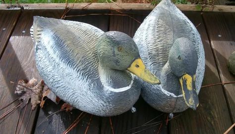 Duck Mount, Deer Blind, Goose Hunting, Hunting Diy, Deer Hunting Tips, Quail Hunting, Duck Season, Duck Boat, Crossbow Hunting