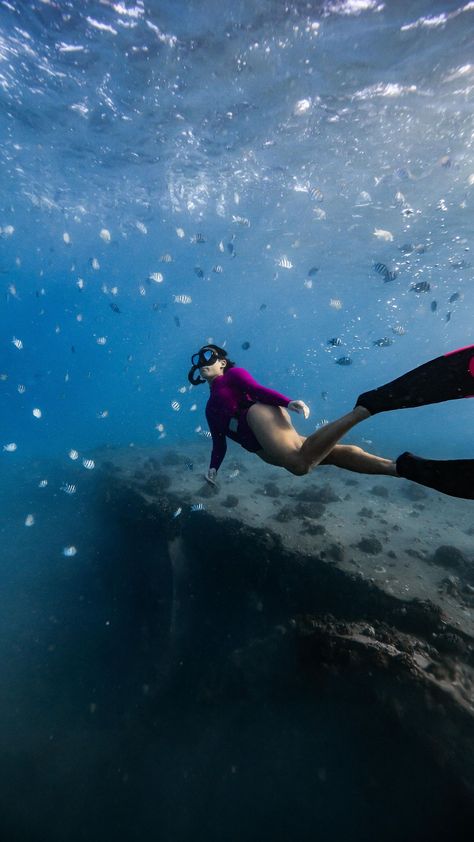 When ocean condition gets better?😩 We miss diving!!! 🌊🫶🏽💙💙 Cute mermaid @alialfarom wearing @jonesea 🐚 . . . - - - - - - - - -… | Instagram Swimwear Photoshoot, Underwater Photographer, Hawaii Oahu, Cute Mermaid, Branding Photoshoot, Underwater Photography, Oahu, Lightroom, Diving