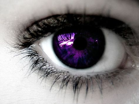 Violet eyes | Eyes like amethysts | Sorceress | Mage | Demon Bleach Cosplay, Air Optix, Colored Eye Contacts, Yennefer Of Vengerberg, Eyes Wallpaper, Violet Eyes, Crazy Eyes, Magic Eyes, Aesthetic Eyes