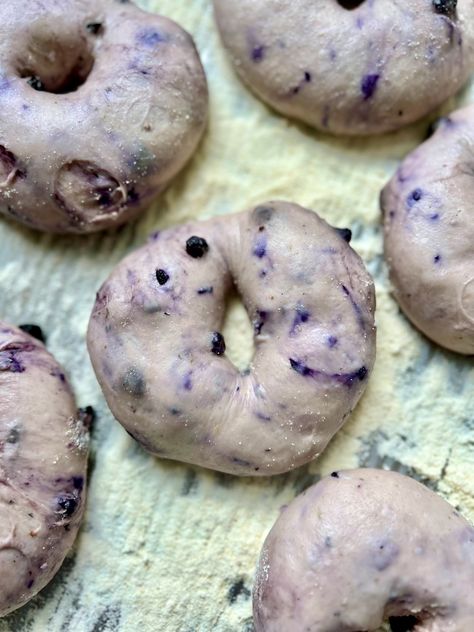 Sourdough Discard Blueberry Bagels, Sourdough Bagels Blueberry, Blueberry Sourdough Bagels, Sourdough Blueberry Bagels, Blueberry Sourdough Bread, Discard Bagels, Blueberry Sourdough, Blueberry Bagels, Sourdough Blueberry