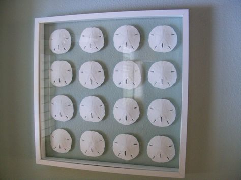 DIY floating sand dollars - ikea frame Sand Dollar Art, Shell Display, White Sea Glass, Condo Decorating, Ikea Frames, Crafts For Boys, Sand Dollar, Glass Frames, Glass Christmas Tree