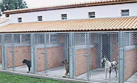 Dog Kennel Flooring, Dog Boarding Ideas, K9 Kennels, Dog Enclosures, Kennel Ideas Outdoor, Dog Boarding Facility, Dog Boarding Kennels, Dog Kennel Ideas, Boarding Kennels