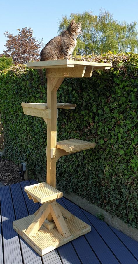 Cat Tree House Diy Ideas, Diy Outdoor Cat Tree, Outdoor Cat Tower, Cat Patio Diy, Catio For Cats, Catios For Cats Window, Cat Patio Enclosure, Catio Ideas Cat, Catio Window