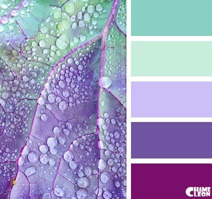 A pleasant color scheme that you could use for your next acrylic pour! Violet Palette, Dilly Dilly, Color Schemes Colour Palettes, Lavender Green, Color Palate, Color Palette Design, Color Inspo, Colour Board, Purple And Green