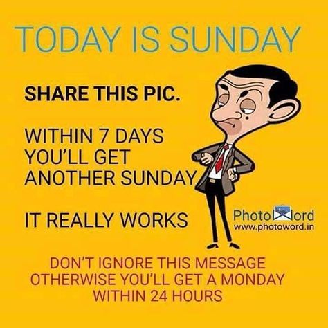 Untitled Good Morning Sunday Funny, Sunday Quotes Funny Humor, Sunday Morning Memes, Happy Sunday Messages, Sunday Morning Humor, Sunday Meme, Sunday Humor, Happy Sunday Images, Sunday Messages