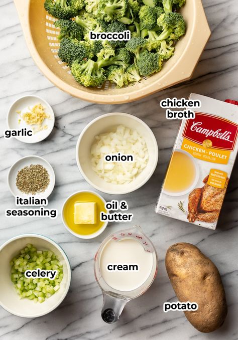 Simple Cream of Broccoli Soup Homemade Cream Of Broccoli Soup Recipe, Cream Of Broccoli Soup Recipe, Broccoli Soup Recipe, Salt Lavender, Cheesy Broccoli Casserole, Creamy Broccoli Soup, Cream Soup Recipes, Cream Of Broccoli, Cozy Soup