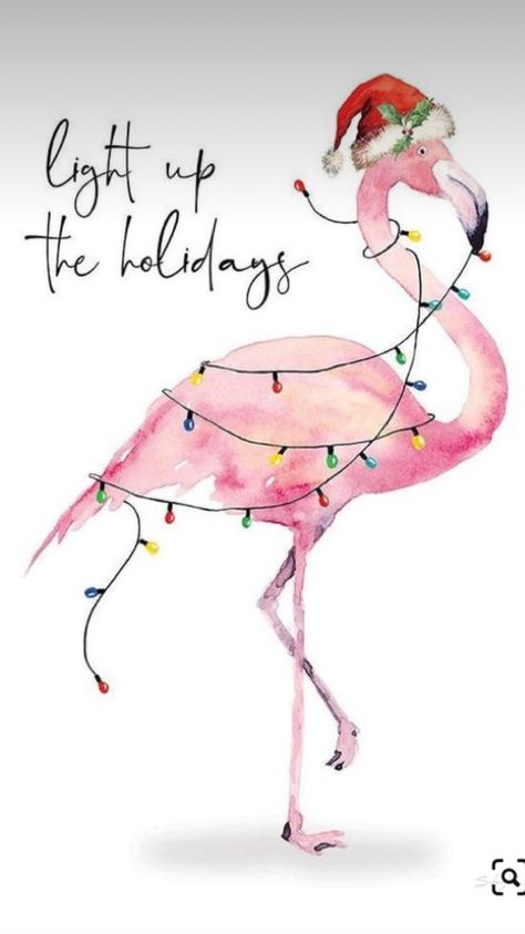 Painting Flamingo, Flamingo Pictures, Flamingo Craft, Beautiful Flamingo, Christmas Flamingo, Fancy Flamingo, Florida Christmas, Flamingo Painting, Beachy Christmas