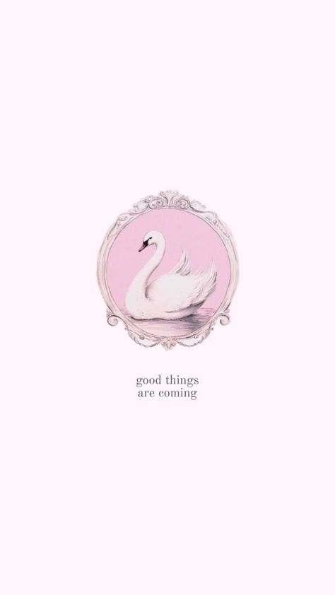 Swan Coquette, Swan Aesthetic, Swan Wallpaper, Coquette Wallpaper, Pastel Decor, Wallpaper Cute, Iphone Wallpaper Photos, Pinturas Disney, Cute Patterns Wallpaper