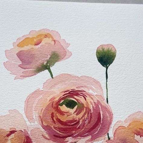 YT & SA on Instagram: "There are many ways of painting a flower and thanks @whiteheartdesign for the Ranunculus tutorial. This is a free tutorial and you can check Yuliya’s bio for the link. Have a beautiful Wednesday❤️ Paints : Holbein, Rembrandt Brush : Princeton (filbert# 8 and round#6) Paper : Baohong Artist, CP, 300 gsm,18x26 cm #watercolorflowers #watercolorindonesia #aquarelle #watercolorflorals #looseflorals #watercolorpainting #neurologistswhodraw #loosewatercolor #watercolorillustration #floralwatercolor#loosefloralwatercolor#watercolorart" Painted Ranunculus, Painting A Flower, Watercolor Ranunculus, Waterbrush Art, Beautiful Wednesday, Folk Decor, Painting Words, Watercolour Inspiration, Loose Watercolor