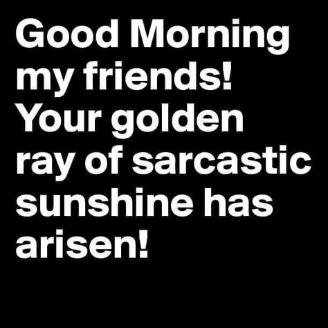 Snarky Good Morning Quotes, Good Morning Sassy Quotes, Sarcastic Morning Quotes, Sassy Good Morning Quotes, Sarcastic Good Morning Quotes, Ray Of Sunshine Quotes, Sunshine Quotes Funny, Good Morning Funny Humor Hilarious, Good Morning My Friends