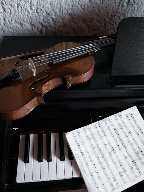 Violin Orchestra Aesthetic, Violin And Piano Aesthetic, Orchestra Aesthetic, Job Inspiration, Violin Design, Music Motivation, Violin Music, Music Student, Old Music