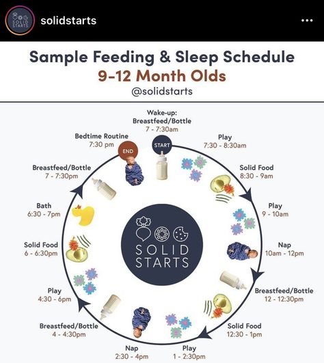 9 Month Old Baby Food Schedule, Baby Solid Food Schedule, 9 Month Old Baby Food, Food Schedule, Baby Food Schedule, Baby Essential List, Baby Progress, Baby Feeding Chart, 9 Month Old Baby